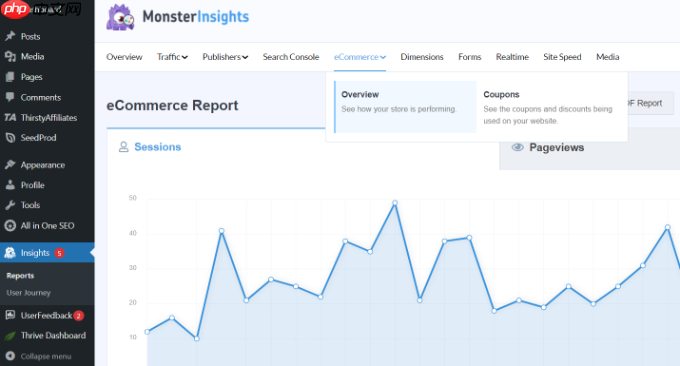 如何设置 WooCommerce 转化跟踪(分步)