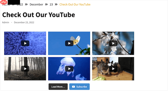 如何在 WordPress 中创建自定义 Facebook Feed