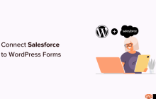 如何将 Salesforce 连接到您的 WordPress 表单
