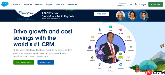如何将 Salesforce 连接到您的 WordPress 表单