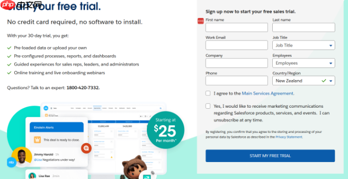 如何将 Salesforce 连接到您的 WordPress 表单