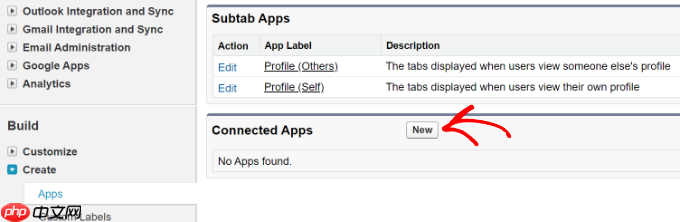 如何将 Salesforce 连接到您的 WordPress 表单