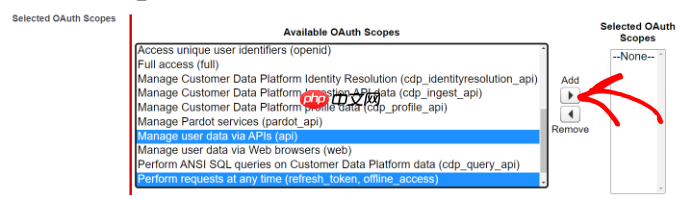 如何将 Salesforce 连接到您的 WordPress 表单