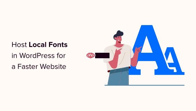 如何在 WordPress 中托管本地字体以获得更快的网站