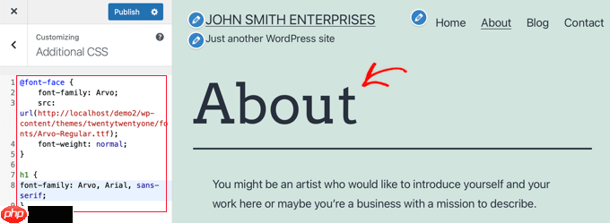 如何在 WordPress 中托管本地字体以获得更快的网站