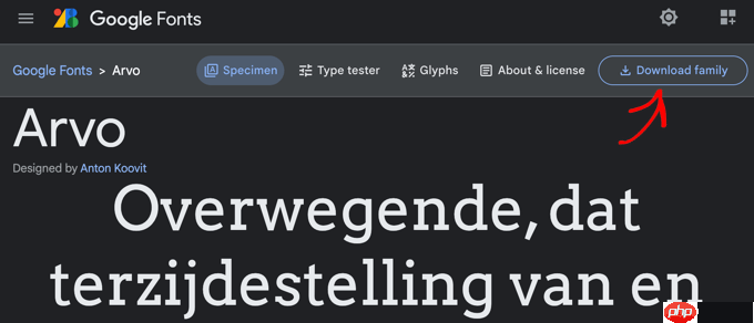 如何在 WordPress 中托管本地字体以获得更快的网站