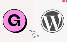 如何从 Gumroad 切换到 WordPress（分步）