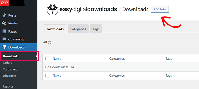 如何从 Gumroad 切换到 WordPress（分步）