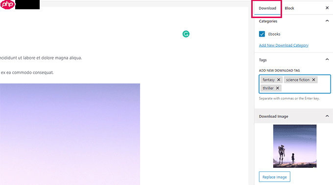 如何从 Gumroad 切换到 WordPress（分步）