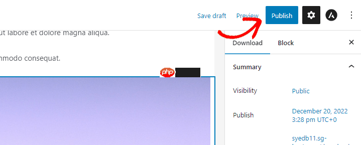 如何从 Gumroad 切换到 WordPress（分步）
