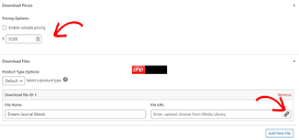 如何从 Gumroad 切换到 WordPress（分步）
