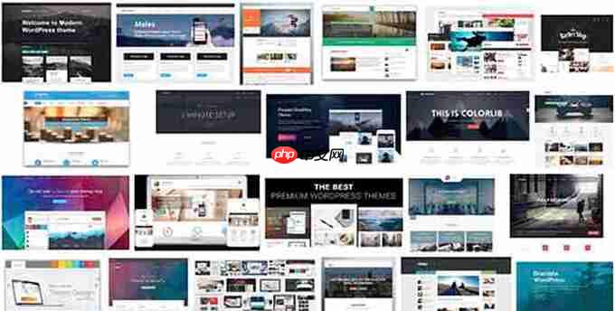 如何从 Gumroad 切换到 WordPress（分步）