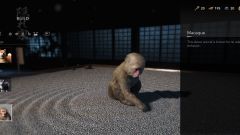 Assassin & # 039; s Creed Shadows: Comment obtenir des singes pour votre cachette