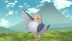 <??>: Guide de bataille Dynamax Pidove Max (MAX Mondays)