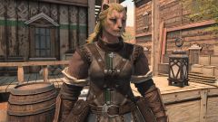 Où <??> ffxiv: les premières livraisons personnalisées de Dawntrail?