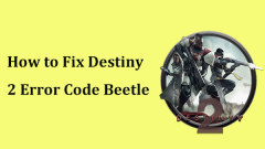 Get Destiny 2 Error Code Beetle? See a Guide to Know How to Fix!