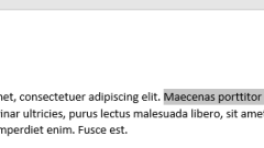 Wie man Text kühn, kursiv oder unterstrichen in Wort macht