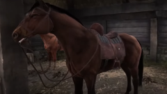 Cara memanggil kuda anda dalam Oblivion Remastered