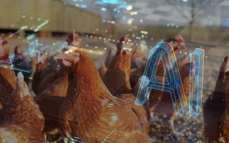 People are asking ChatGPT how to get rid of a 73kg dead chicken and the results are hilarious