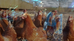 Die Leute fragen Chatgpt, wie sie ein 73 kg totes Huhn loswerden k?nnen, und die Ergebnisse sind lustig