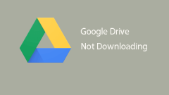 Can't Download from Google Drive? – 6 Ways