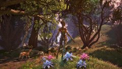 Oblivion Remastered: UE5 Explained & What It Means