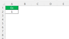 Excel Fast?? 1 Oz? LB? ???? ??