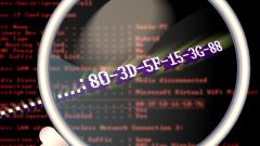 How to Look Up the MAC Address on Your Windows PC