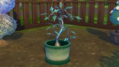 Cara menyelesaikan teka -teki cendawan di Sims 4 yang terpesona secara semula jadi