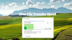 Slow File Transfer Speed on Windows 10/11: 8 Best Fixes