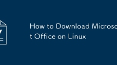 Linux?? Microsoft Office? ?????? ??