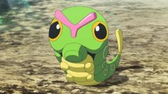 <ax> : Dynamax Caterpie Max Battle Guide (Max Mondays)
