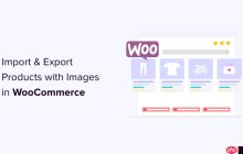 如何导入和导出带有图像的 WooCommerce 产品