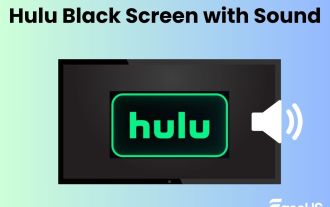 Correction: écran noir Hulu avec son sur TV, Roku, PC, Mac