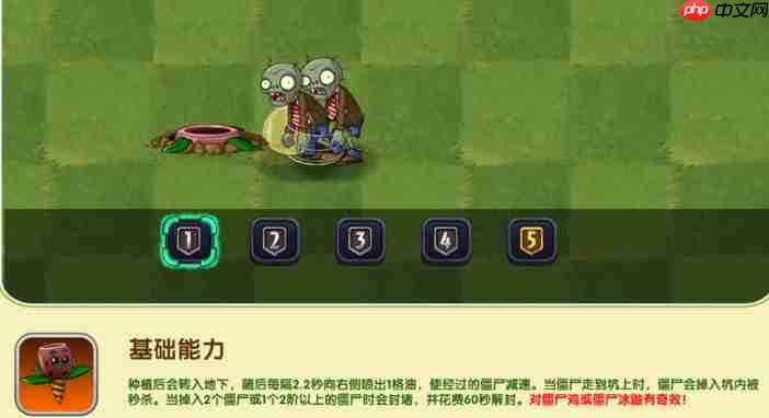 植物大战僵尸2橄榄坑适性测评