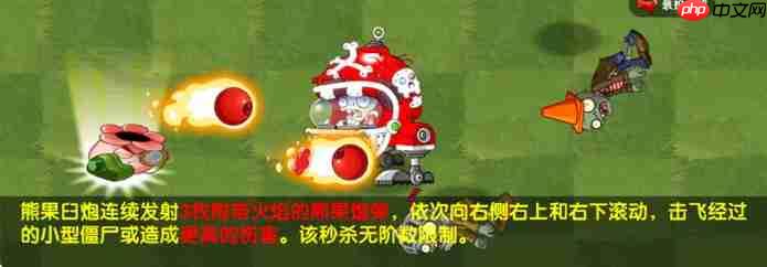 植物大战僵尸2橄榄坑适性测评