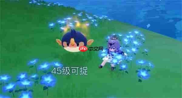 米姆米姆哈永夜之岛精英米姆捕捉攻略