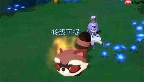 米姆米姆哈永夜之岛精英米姆捕捉攻略