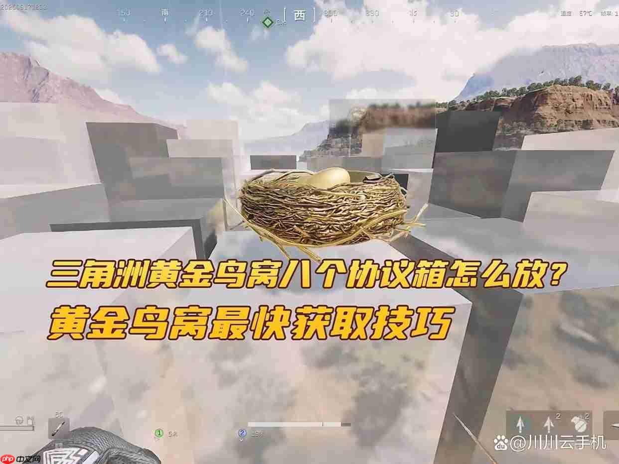 三角洲行动黄金鸟窝最快获取攻略