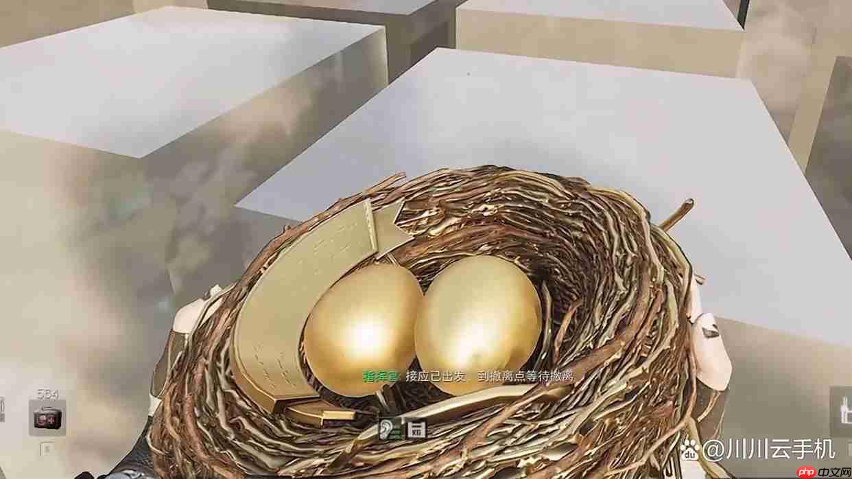 三角洲行动黄金鸟窝最快获取攻略