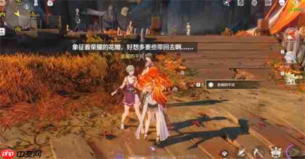 鸣潮2.6隐藏成就为荣耀倾注的花雨如何获取