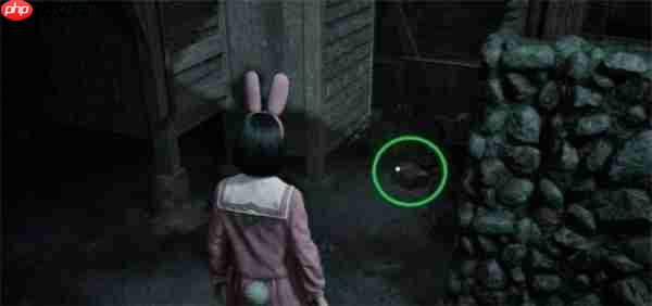 寂静岭f狐仙纹章箱子全收集指南