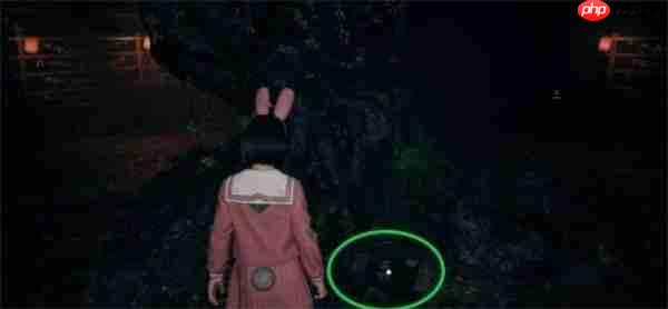 寂静岭f狐仙纹章箱子全收集指南