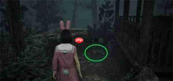 寂静岭f狐仙纹章箱子全收集指南