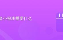 开发抖音小程序需要什么