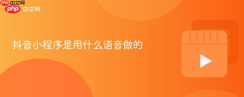 抖音小程序是用什么语音做的