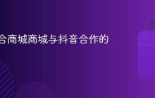 大型综合商城商城与抖音合作的有哪些