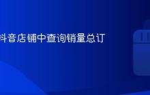 如何在抖音店铺中查询销量总订单