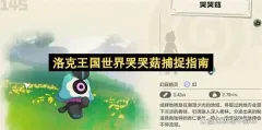 洛克王国世界哭哭菇捕捉指南