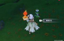 原神帕蒂沙兰全收集路线